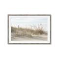 Picture of Seaside Grass _GroupedProduct_Rectangle_Landscape_Framed_Matted_