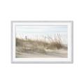 Picture of Seaside Grass _GroupedProduct_Rectangle_Landscape_Framed_Matted_