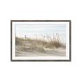 Picture of Seaside Grass _GroupedProduct_Rectangle_Landscape_Framed_Matted_