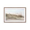 Picture of Seaside Grass _GroupedProduct_Rectangle_Landscape_Framed_Matted_