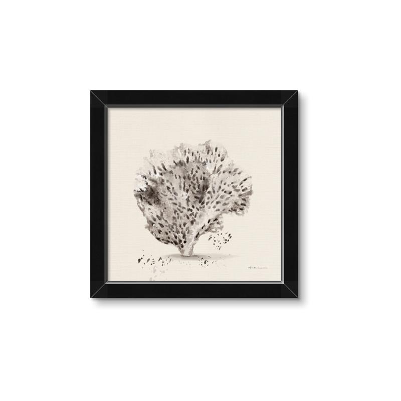 Picture of Coral Sketch II _GroupedProduct_Square_Framed_Matted_