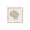 Picture of Coral Sketch I _GroupedProduct_Square_Framed_Matted_