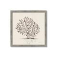 Picture of Coral Sketch I _GroupedProduct_Square_Framed_Matted_
