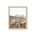 Picture of Oversea _GroupedProduct_Rectangle_Portrait_Photography _GroupedProduct_Rectangle_Portrait_Framed_Matted_