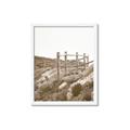 Picture of Oversea _GroupedProduct_Rectangle_Portrait_Photography _GroupedProduct_Rectangle_Portrait_Framed_Matted_
