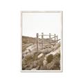 Picture of Oversea _GroupedProduct_Rectangle_Portrait_Photography _GroupedProduct_Rectangle_Portrait_Framed_Matted_
