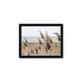 Picture of Windy Whisps _GroupedProduct_Rectangle_Landscape_Photography _GroupedProduct_Rectangle_Landscape_Framed_Matted_