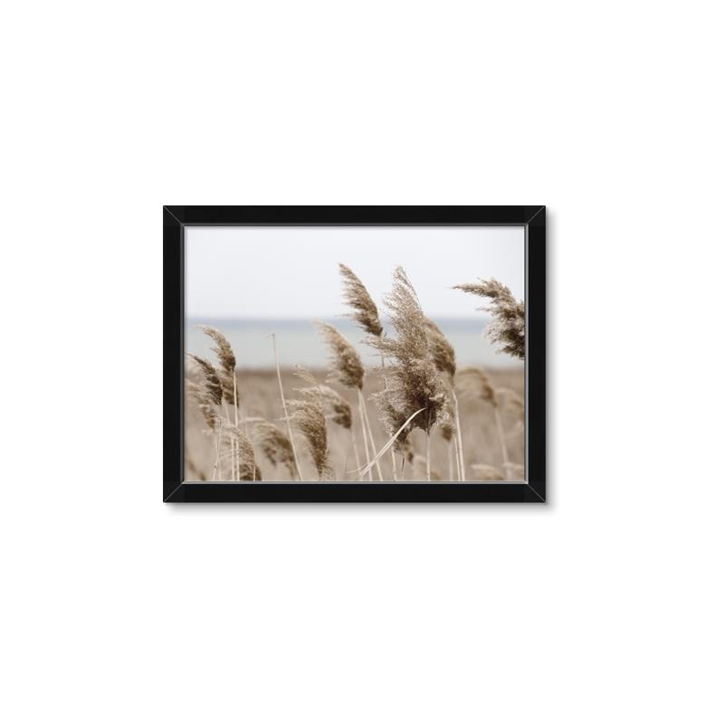 Picture of Windy Whisps _GroupedProduct_Rectangle_Landscape_Photography _GroupedProduct_Rectangle_Landscape_Framed_Matted_