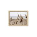 Picture of Windy Whisps _GroupedProduct_Rectangle_Landscape_Photography _GroupedProduct_Rectangle_Landscape_Framed_Matted_
