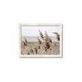 Picture of Windy Whisps _GroupedProduct_Rectangle_Landscape_Photography _GroupedProduct_Rectangle_Landscape_Framed_Matted_