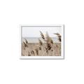 Picture of Windy Whisps _GroupedProduct_Rectangle_Landscape_Photography _GroupedProduct_Rectangle_Landscape_Framed_Matted_