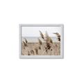 Picture of Windy Whisps _GroupedProduct_Rectangle_Landscape_Photography _GroupedProduct_Rectangle_Landscape_Framed_Matted_