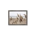 Picture of Windy Whisps _GroupedProduct_Rectangle_Landscape_Photography _GroupedProduct_Rectangle_Landscape_Framed_Matted_
