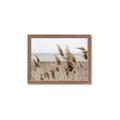 Picture of Windy Whisps _GroupedProduct_Rectangle_Landscape_Photography _GroupedProduct_Rectangle_Landscape_Framed_Matted_