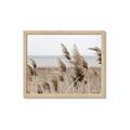 Picture of Windy Whisps _GroupedProduct_Rectangle_Landscape_Photography _GroupedProduct_Rectangle_Landscape_Framed_Matted_