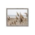 Picture of Windy Whisps _GroupedProduct_Rectangle_Landscape_Photography _GroupedProduct_Rectangle_Landscape_Framed_Matted_