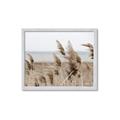 Picture of Windy Whisps _GroupedProduct_Rectangle_Landscape_Photography _GroupedProduct_Rectangle_Landscape_Framed_Matted_