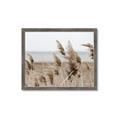 Picture of Windy Whisps _GroupedProduct_Rectangle_Landscape_Photography _GroupedProduct_Rectangle_Landscape_Framed_Matted_