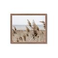 Picture of Windy Whisps _GroupedProduct_Rectangle_Landscape_Photography _GroupedProduct_Rectangle_Landscape_Framed_Matted_