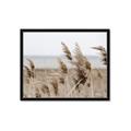 Picture of Windy Whisps _GroupedProduct_Rectangle_Landscape_Photography _GroupedProduct_Rectangle_Landscape_Framed_Matted_