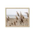 Picture of Windy Whisps _GroupedProduct_Rectangle_Landscape_Photography _GroupedProduct_Rectangle_Landscape_Framed_Matted_