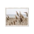 Picture of Windy Whisps _GroupedProduct_Rectangle_Landscape_Photography _GroupedProduct_Rectangle_Landscape_Framed_Matted_
