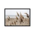 Picture of Windy Whisps _GroupedProduct_Rectangle_Landscape_Photography _GroupedProduct_Rectangle_Landscape_Framed_Matted_