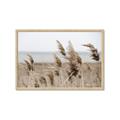 Picture of Windy Whisps _GroupedProduct_Rectangle_Landscape_Photography _GroupedProduct_Rectangle_Landscape_Framed_Matted_