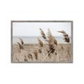 Picture of Windy Whisps _GroupedProduct_Rectangle_Landscape_Photography _GroupedProduct_Rectangle_Landscape_Framed_Matted_
