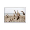 Picture of Windy Whisps _GroupedProduct_Rectangle_Landscape_Photography _GroupedProduct_Rectangle_Landscape_Framed_Matted_