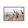 Picture of Windy Whisps _GroupedProduct_Rectangle_Landscape_Photography _GroupedProduct_Rectangle_Landscape_Framed_Matted_