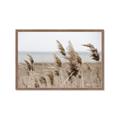 Picture of Windy Whisps _GroupedProduct_Rectangle_Landscape_Photography _GroupedProduct_Rectangle_Landscape_Framed_Matted_