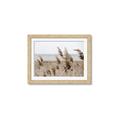 Picture of Windy Whisps _GroupedProduct_Rectangle_Landscape_Photography _GroupedProduct_Rectangle_Landscape_Framed_Matted_