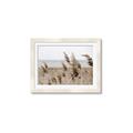 Picture of Windy Whisps _GroupedProduct_Rectangle_Landscape_Photography _GroupedProduct_Rectangle_Landscape_Framed_Matted_