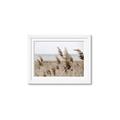 Picture of Windy Whisps _GroupedProduct_Rectangle_Landscape_Photography _GroupedProduct_Rectangle_Landscape_Framed_Matted_