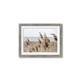 Picture of Windy Whisps _GroupedProduct_Rectangle_Landscape_Photography _GroupedProduct_Rectangle_Landscape_Framed_Matted_