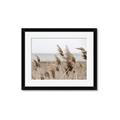 Picture of Windy Whisps _GroupedProduct_Rectangle_Landscape_Photography _GroupedProduct_Rectangle_Landscape_Framed_Matted_