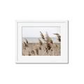 Picture of Windy Whisps _GroupedProduct_Rectangle_Landscape_Photography _GroupedProduct_Rectangle_Landscape_Framed_Matted_