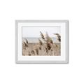 Picture of Windy Whisps _GroupedProduct_Rectangle_Landscape_Photography _GroupedProduct_Rectangle_Landscape_Framed_Matted_