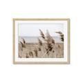 Picture of Windy Whisps _GroupedProduct_Rectangle_Landscape_Photography _GroupedProduct_Rectangle_Landscape_Framed_Matted_