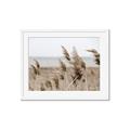 Picture of Windy Whisps _GroupedProduct_Rectangle_Landscape_Photography _GroupedProduct_Rectangle_Landscape_Framed_Matted_