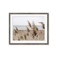 Picture of Windy Whisps _GroupedProduct_Rectangle_Landscape_Photography _GroupedProduct_Rectangle_Landscape_Framed_Matted_
