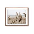 Picture of Windy Whisps _GroupedProduct_Rectangle_Landscape_Photography _GroupedProduct_Rectangle_Landscape_Framed_Matted_