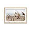 Picture of Windy Whisps _GroupedProduct_Rectangle_Landscape_Photography _GroupedProduct_Rectangle_Landscape_Framed_Matted_