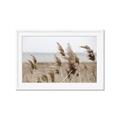 Picture of Windy Whisps _GroupedProduct_Rectangle_Landscape_Photography _GroupedProduct_Rectangle_Landscape_Framed_Matted_