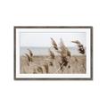 Picture of Windy Whisps _GroupedProduct_Rectangle_Landscape_Photography _GroupedProduct_Rectangle_Landscape_Framed_Matted_