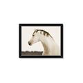 Picture of White Beauty _GroupedProduct_Rectangle_Landscape_Photography _GroupedProduct_Rectangle_Landscape_Framed_Matted_