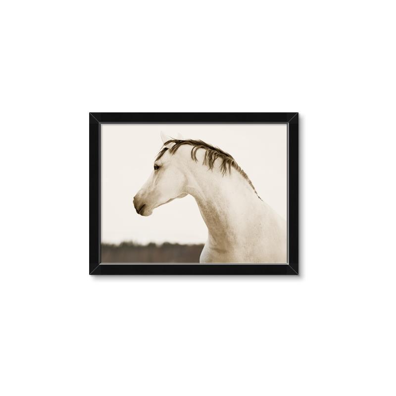 Picture of White Beauty _GroupedProduct_Rectangle_Landscape_Photography _GroupedProduct_Rectangle_Landscape_Framed_Matted_