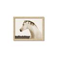 Picture of White Beauty _GroupedProduct_Rectangle_Landscape_Photography _GroupedProduct_Rectangle_Landscape_Framed_Matted_
