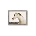 Picture of White Beauty _GroupedProduct_Rectangle_Landscape_Photography _GroupedProduct_Rectangle_Landscape_Framed_Matted_